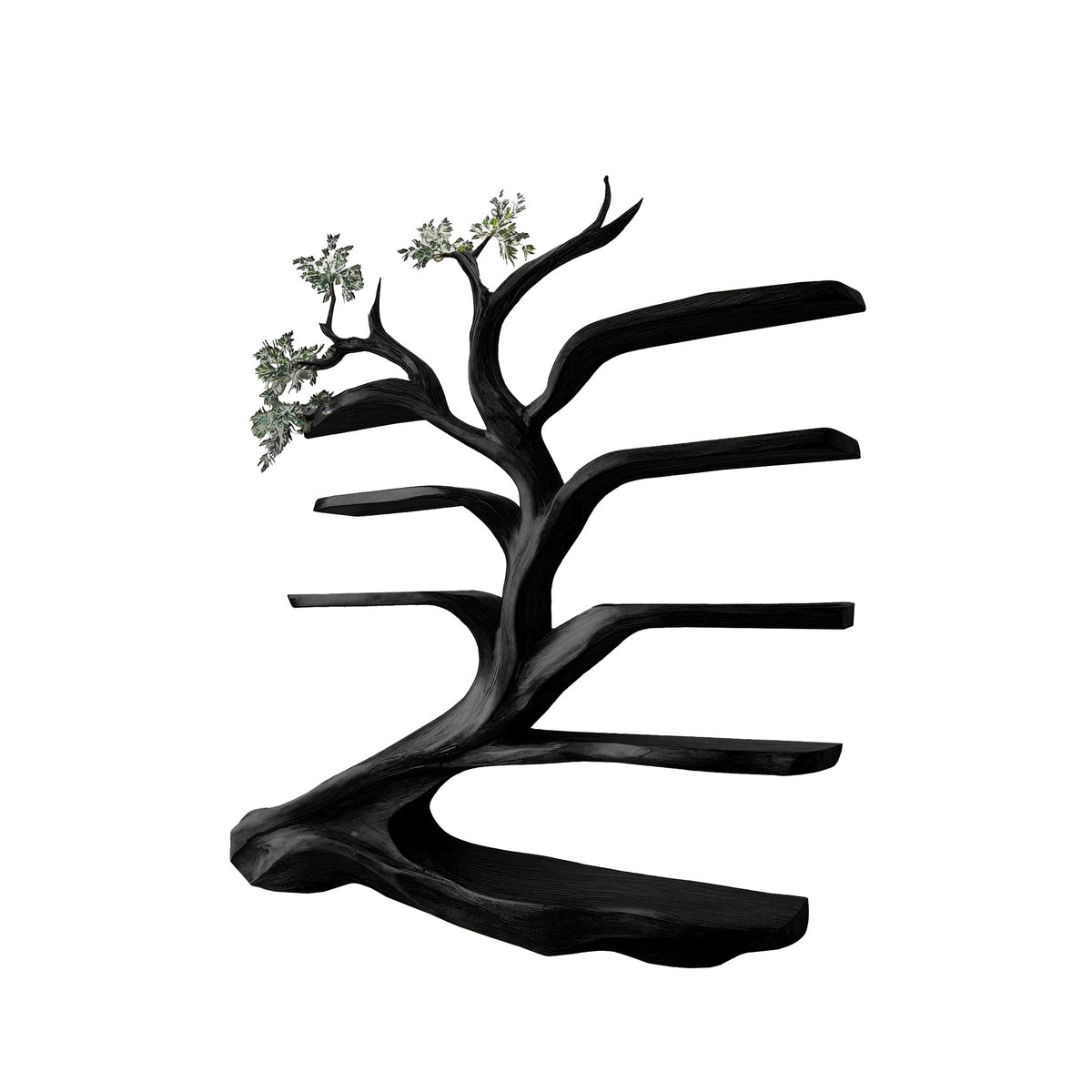 Sylvara Flow Handcrafted Live Edge Tree Bookshelf